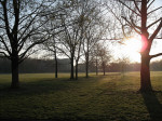 Blick in den Alaunpark am frühen Morgen (Quelle: flickr.com/photos/_parrish_/)